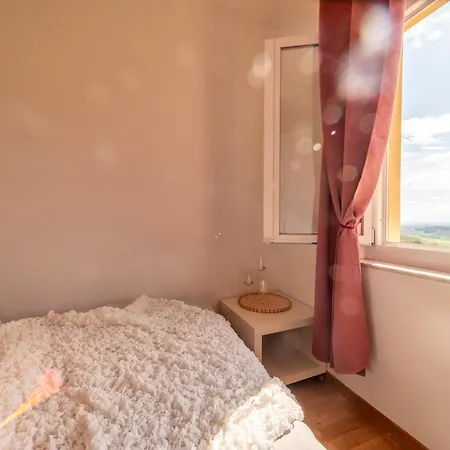 Sofia's Dreamy Haven *